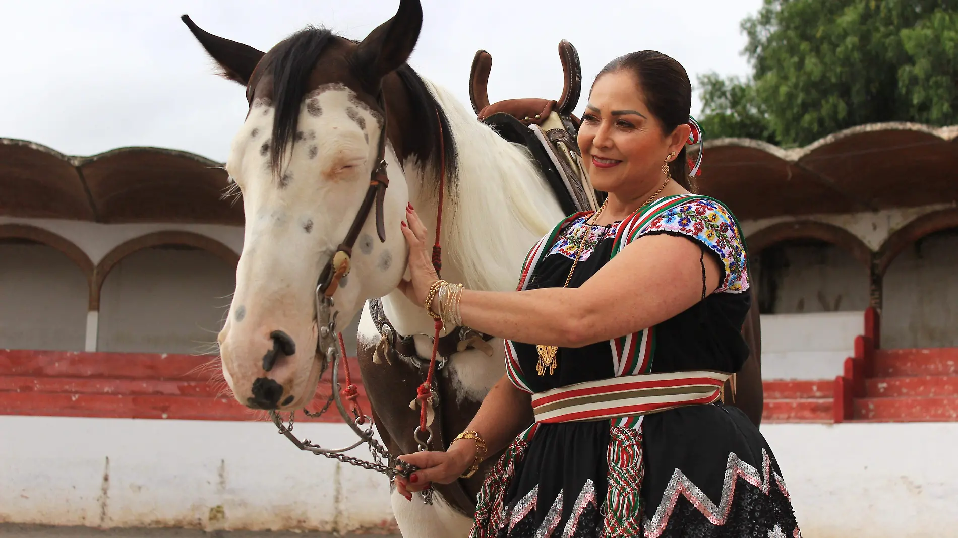 SJR Norma Basurto Pacheco